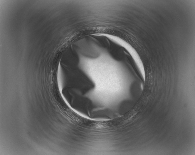 X0000080720750200701021054