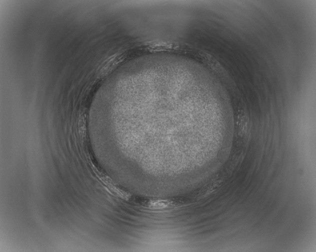 X0000080720753200701021054