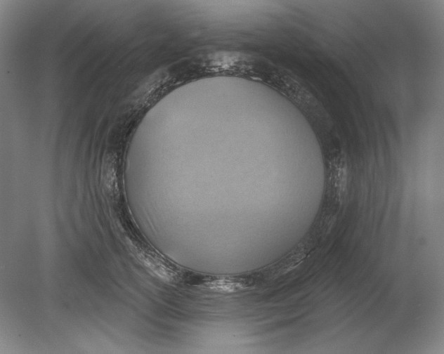 X0000080720754200701021054