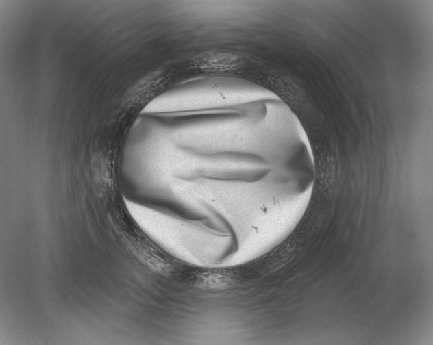 X0000080720755200701021054