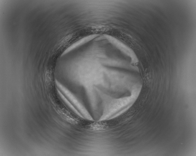 X0000080720756200701021054