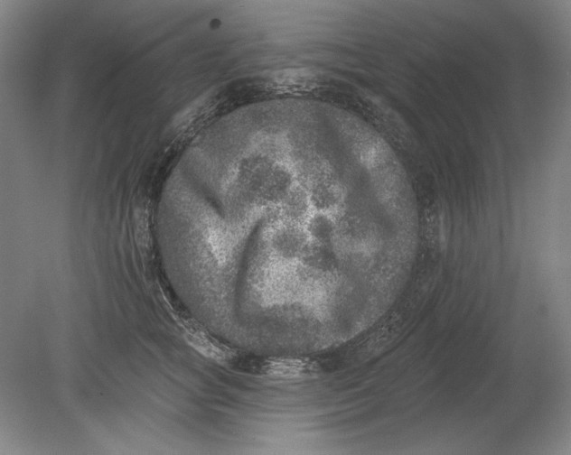 X0000080720757200701021054