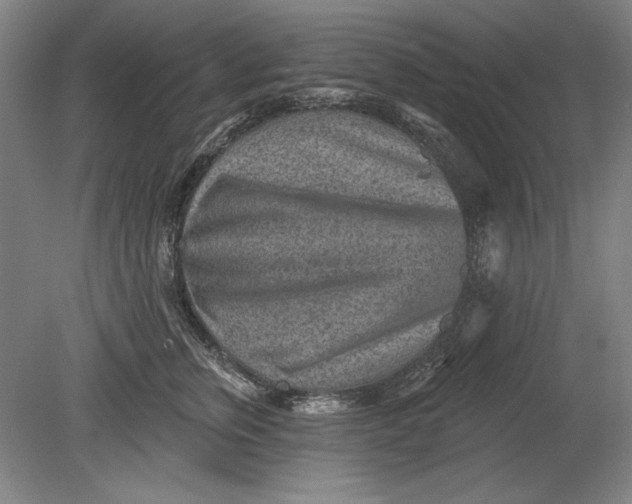 X0000080720759200701021054