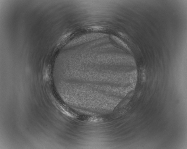 X0000080720760200701021054