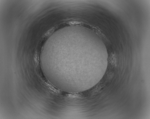 X0000080720763200701021054