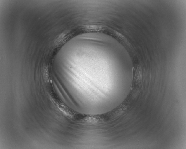 X0000080720764200701021054