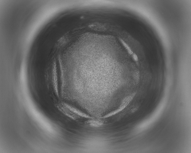 X0000080720765200701021054