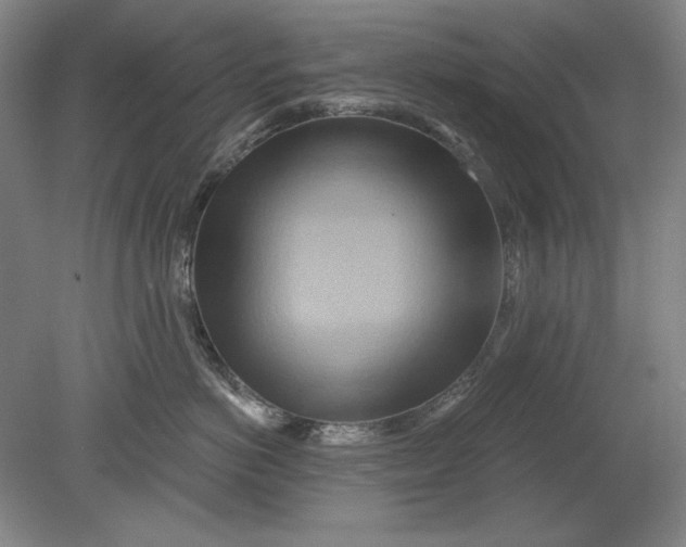 X0000080720766200701021054