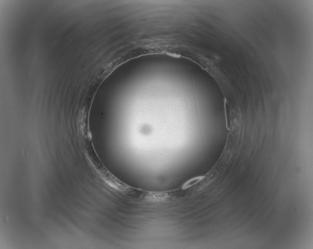 X0000080720767200701021054