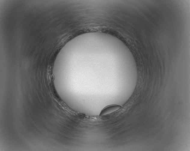 X0000080720768200701021054