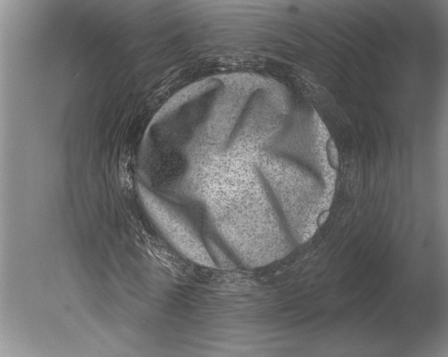 X0000080720770200701021053