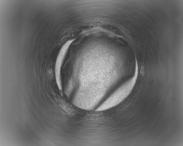 X0000080720771200701021053