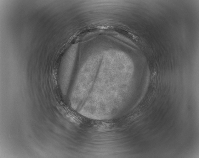 X0000080720772200701021053