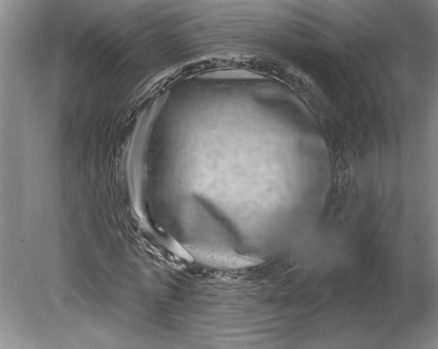 X0000080720773200701021053