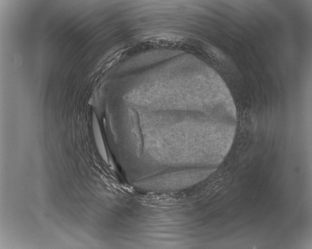 X0000080720774200701021053