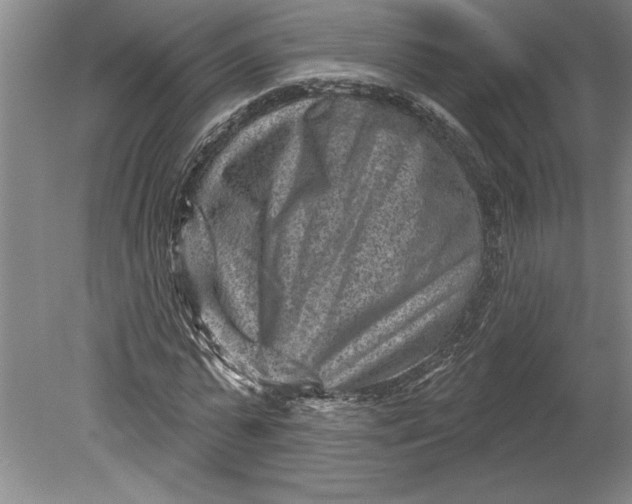 X0000080720775200701021053