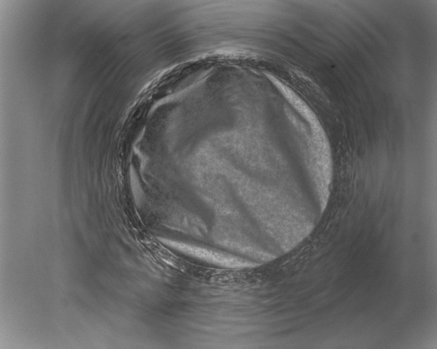 X0000080720776200701021053