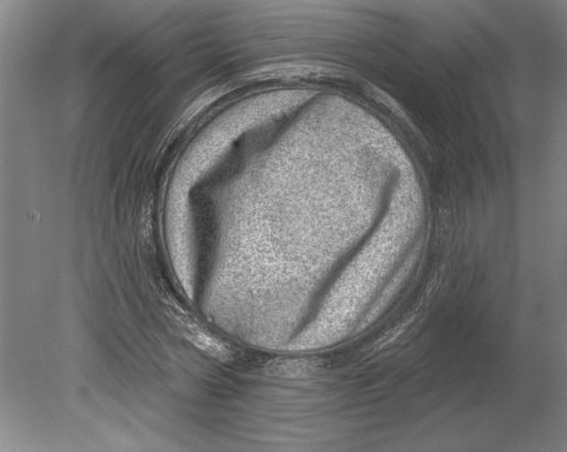 X0000080720778200701021053