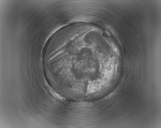 X0000080720779200701021053