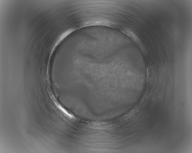 X0000080720780200701021053