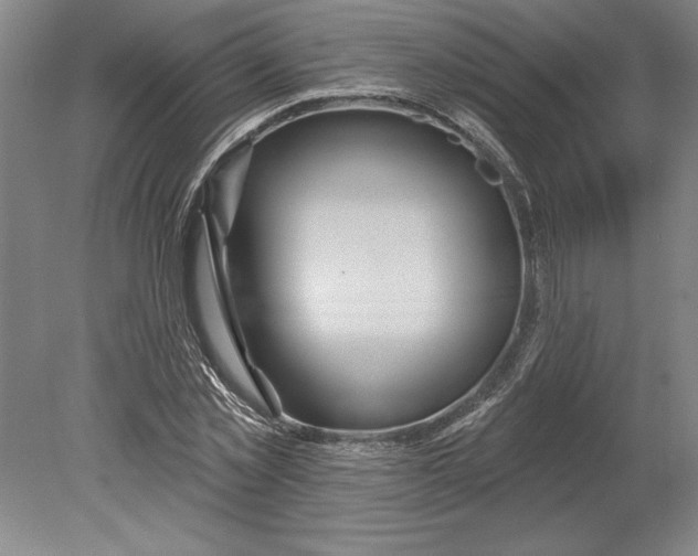 X0000080720781200701021053