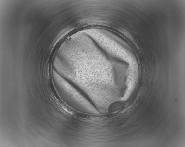 X0000080720782200701021053