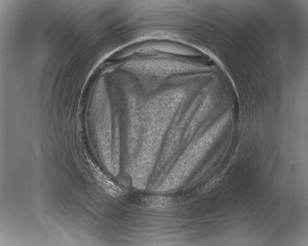 X0000080720783200701021053