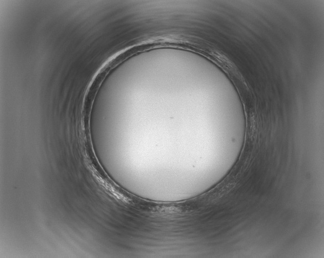 X0000080720784200701021053