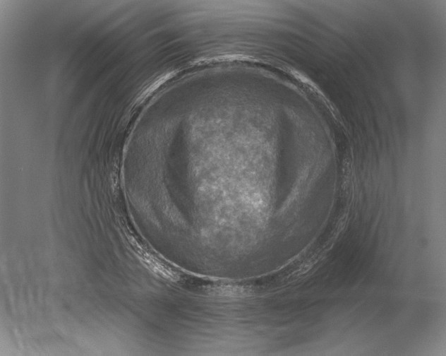 X0000080720785200701021053