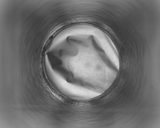 X0000080720786200701021053