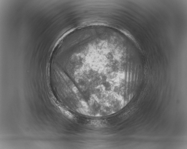 X0000080720790200701021053