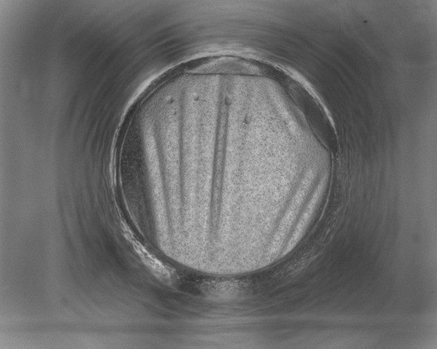 X0000080720791200701021053