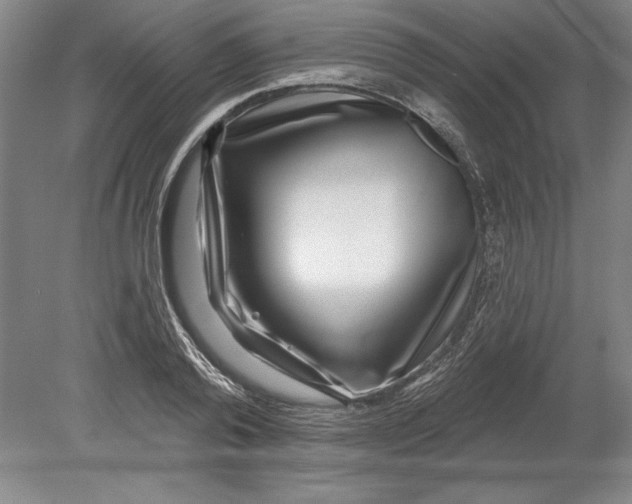 X0000080720792200701021053