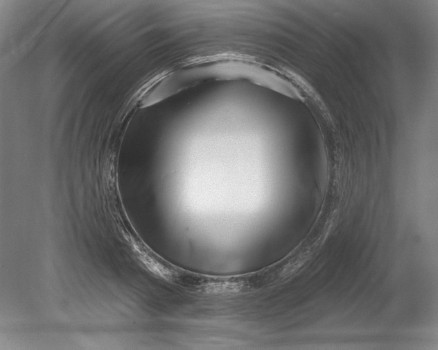 X0000080720793200701021053