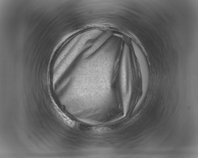 X0000080720795200701021053