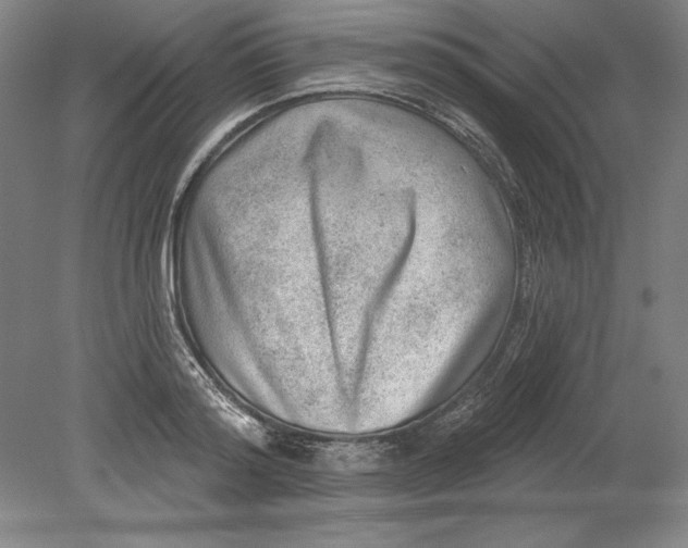 X0000080720796200701021053