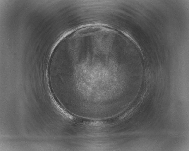 X0000080720797200701021053