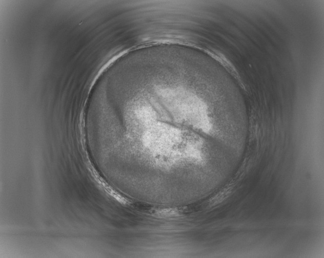 X0000080720798200701021053