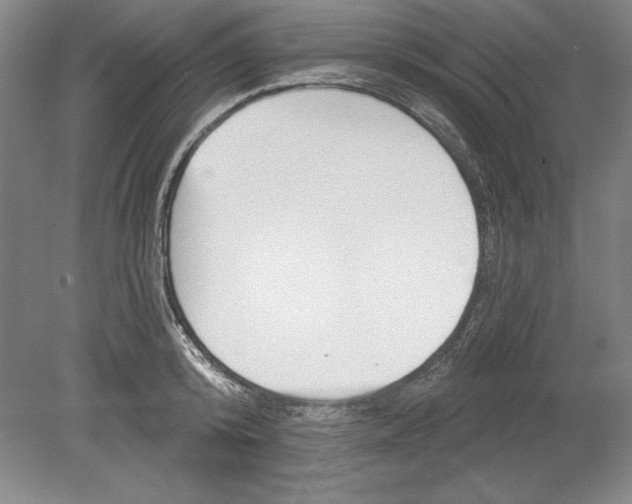 X0000080720800200701021053