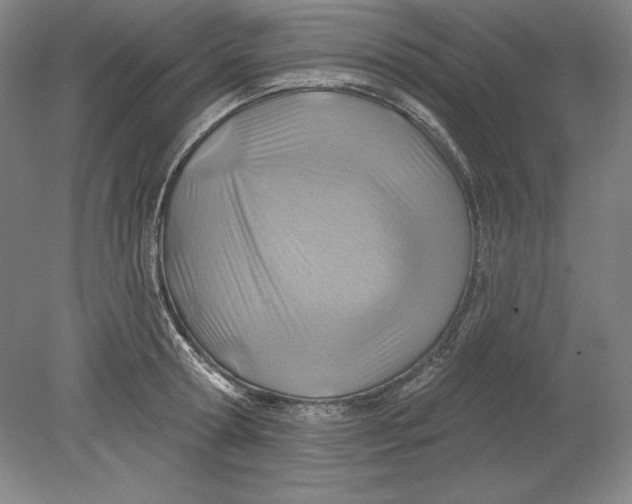 X0000080720802200701021053