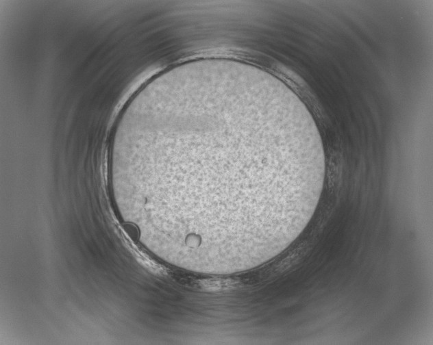 X0000080720804200701021053