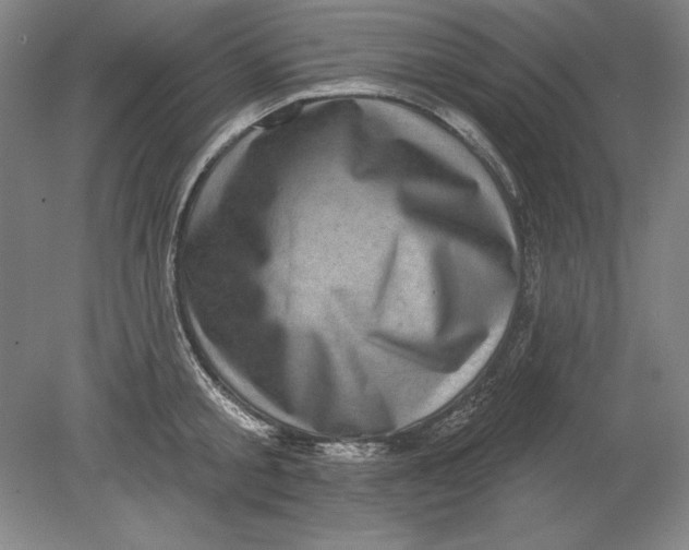 X0000080720805200701021053