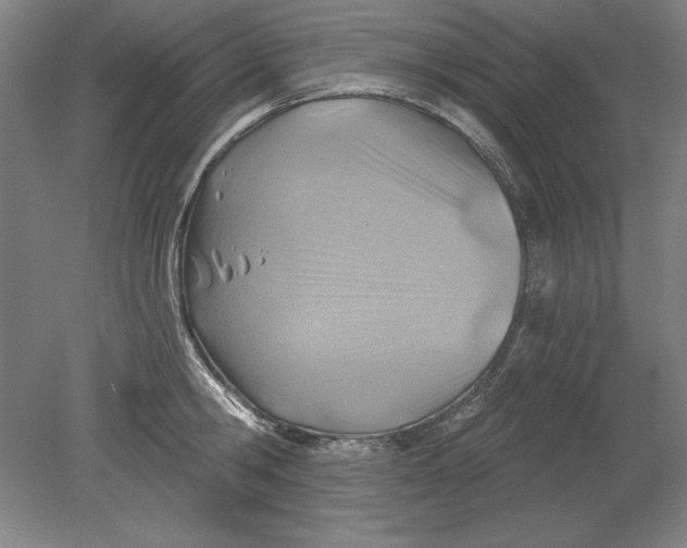 X0000080720806200701021053