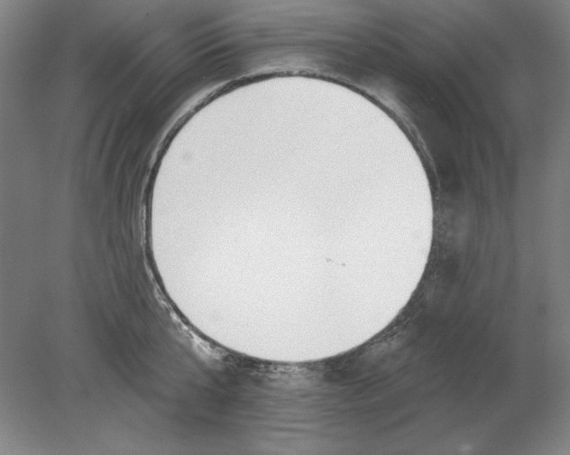 X0000080720807200701021053