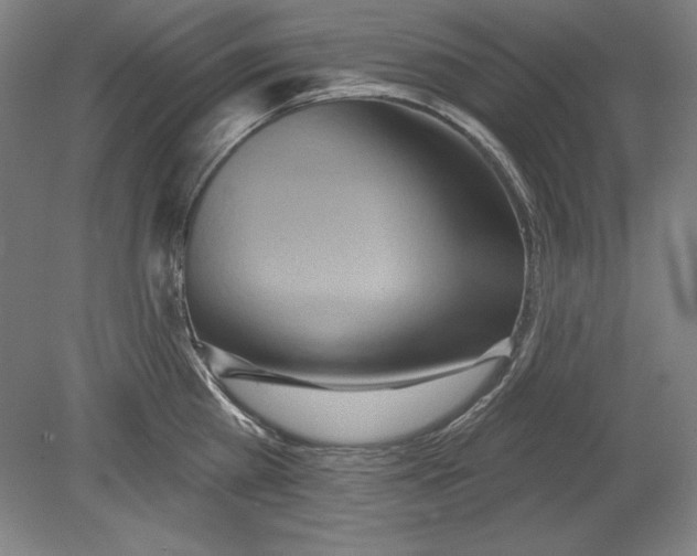 X0000080720809200701021052