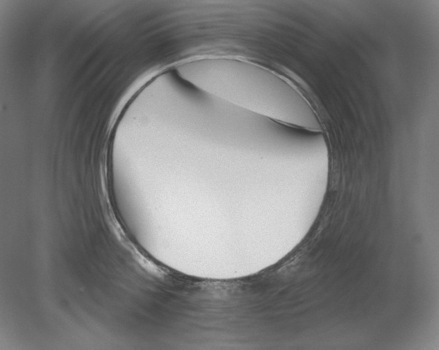 X0000080720812200701021052