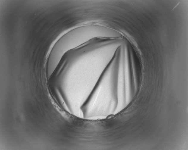 X0000080720816200701021052