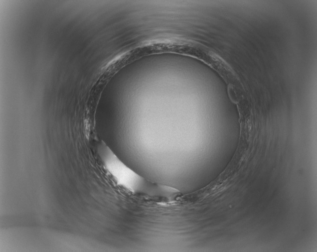 X0000080720822200701021052