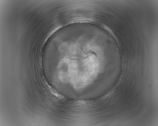 X0000080720827200701021052