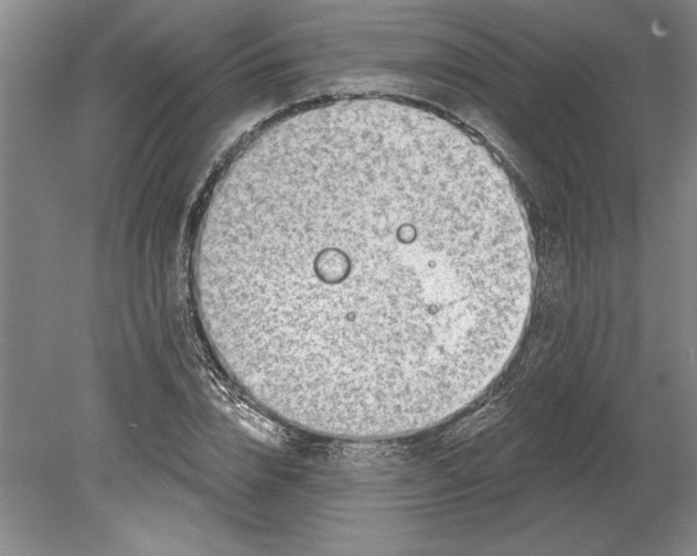 X0000080720832200701021052